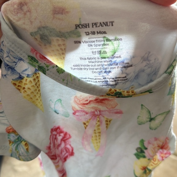 Posh Peanut Camille ruffle cap sleeve twirl dress bodysuit 12-18 months - Picture 2 of 5